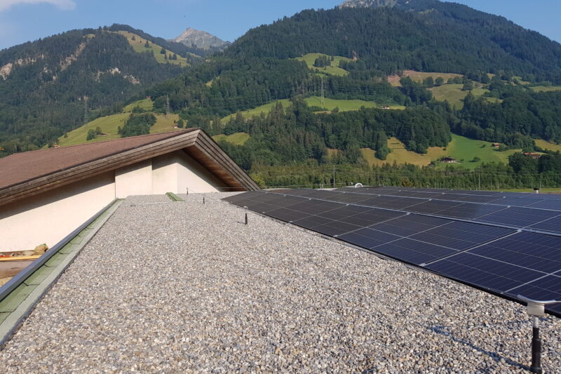 20220720_083801-scaled