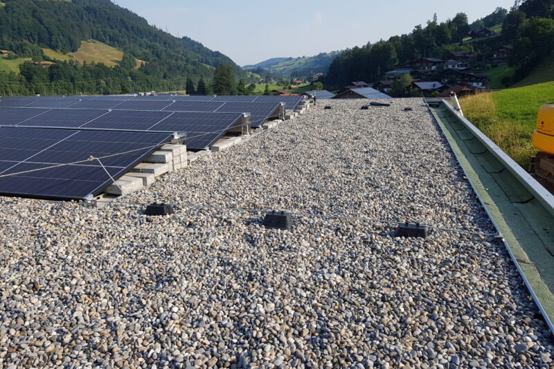 20220720_083805-scaled