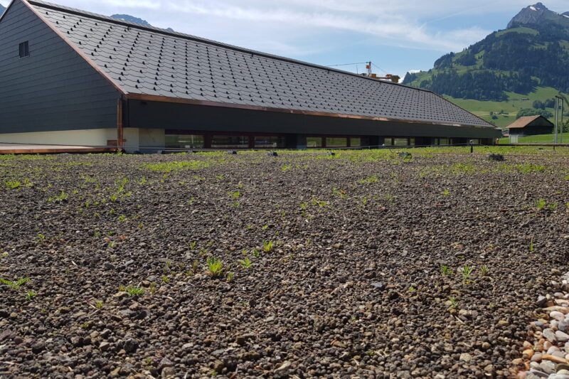 20240606_105734-scaled